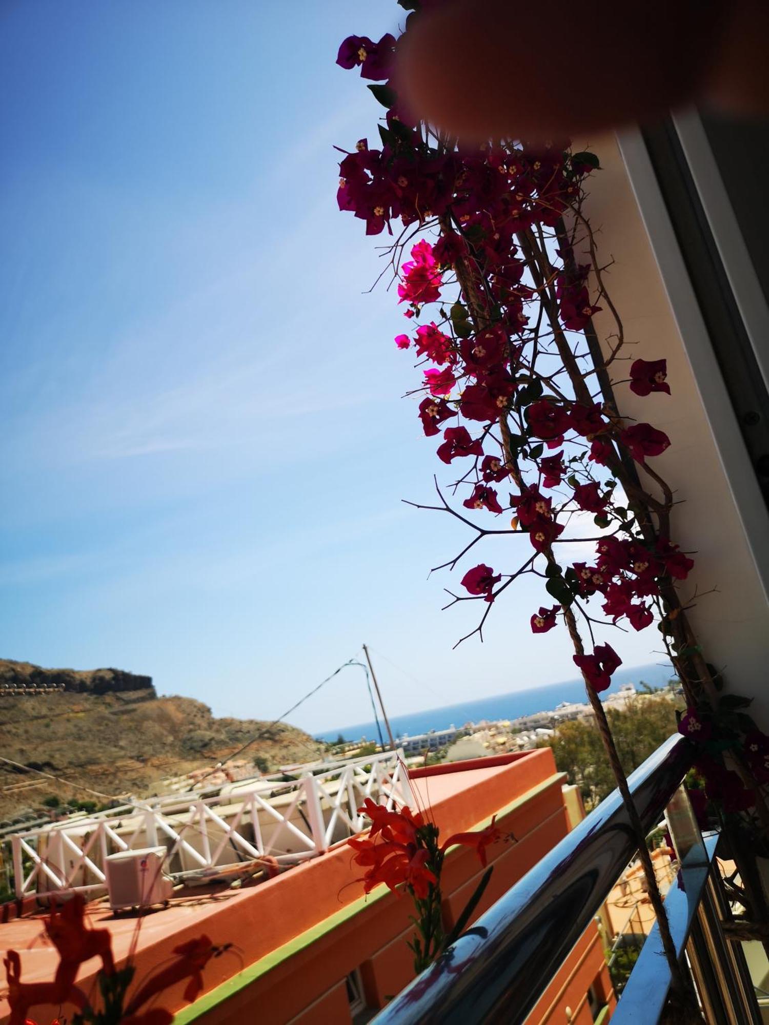 Апартаменты Puerto De Mogan Sonneland Экстерьер фото